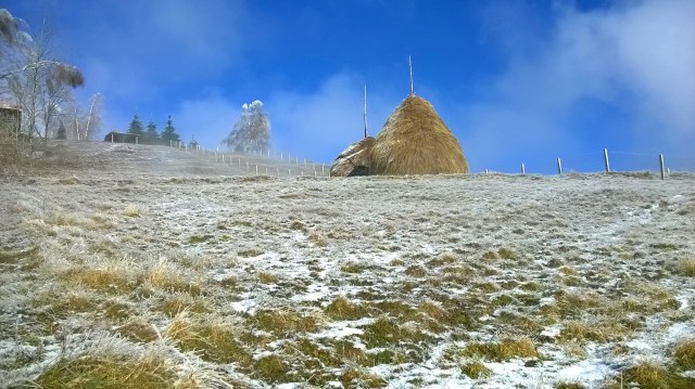 Haystacks in Goč area