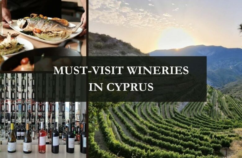 11 Must-Visit Wineries in Cyprus and Best Regional Wines (2024)